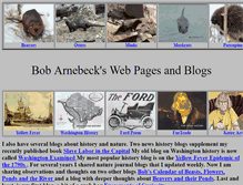 Tablet Screenshot of bobarnebeck.com